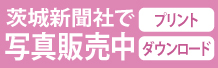 EPiTaSフォトサービス 茨城新聞社｜株式会社ニコンシステム
